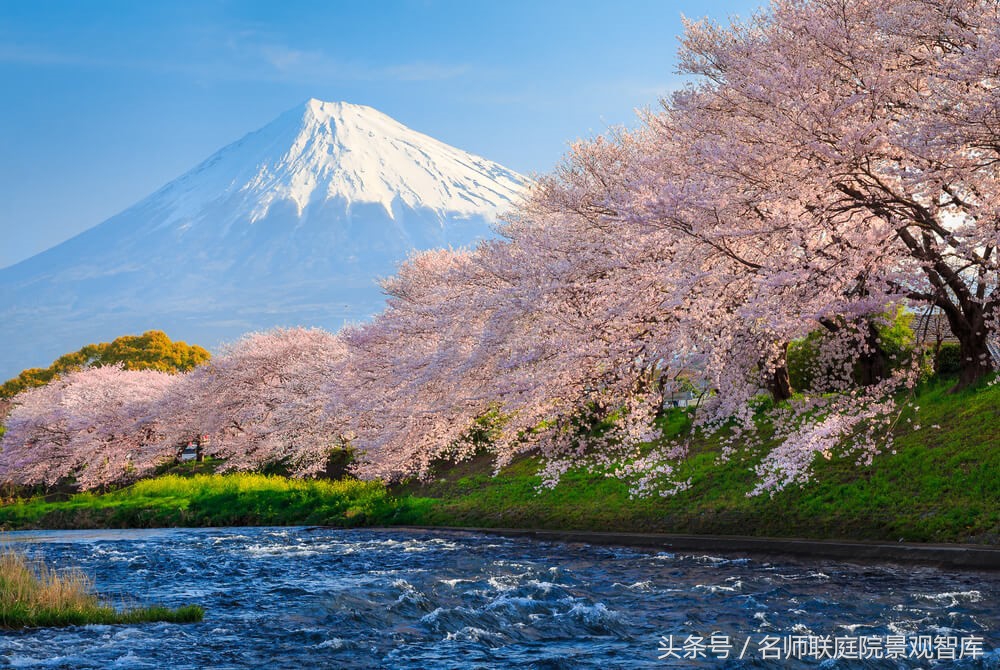 日本最美最好的民宿,不出国也能体验日本民宿风情