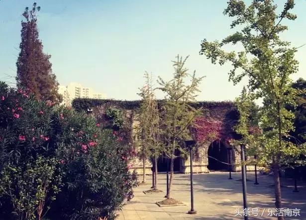 南京免费公园免费开放日一览表,南京最大的公园排名