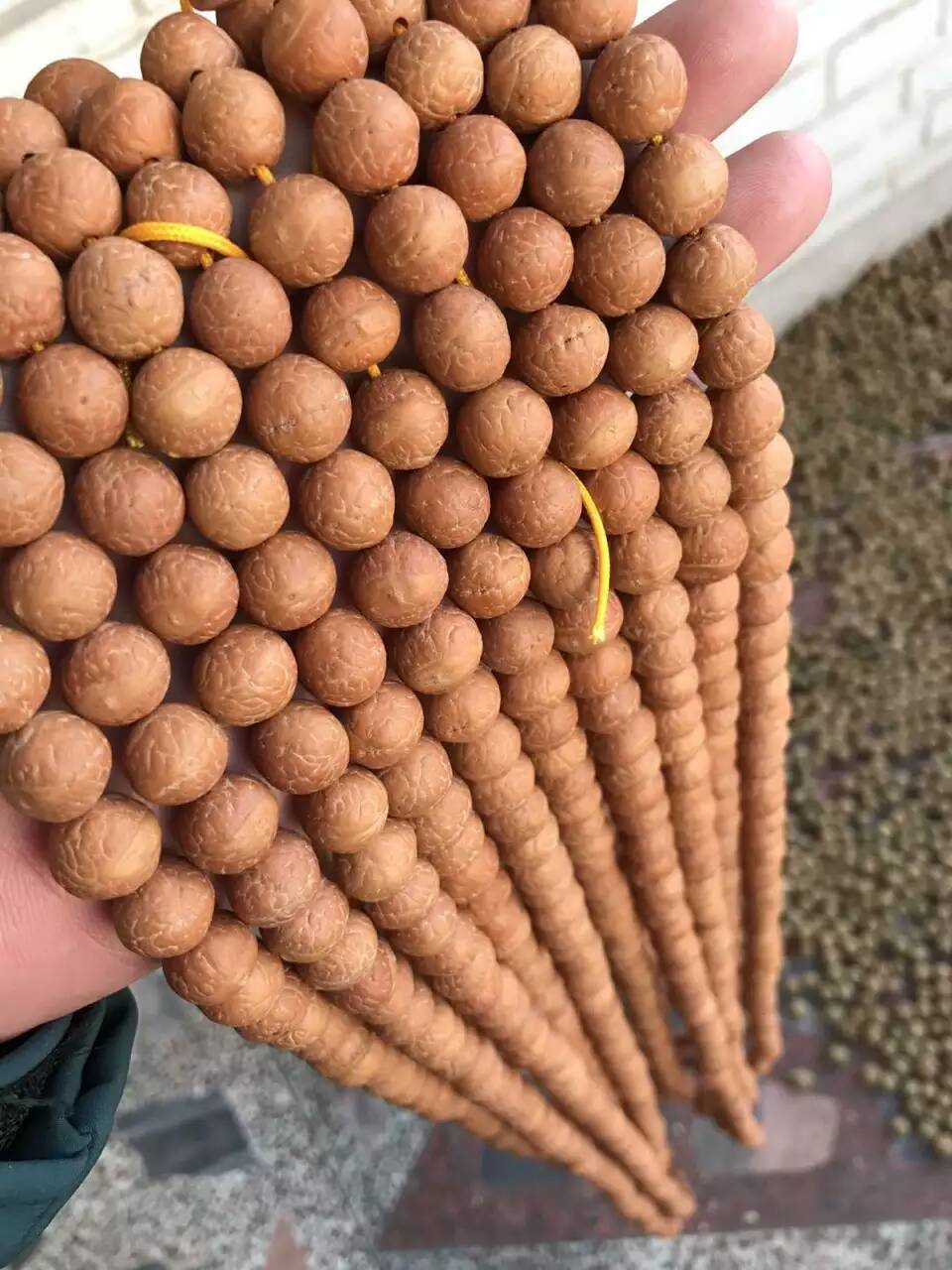 凤眼菩提同品相的价格,凤眼菩提怎样看好坏