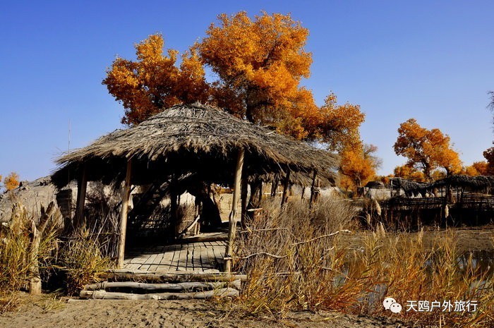 南疆最值得去的几个地方,南疆尉犁的景点