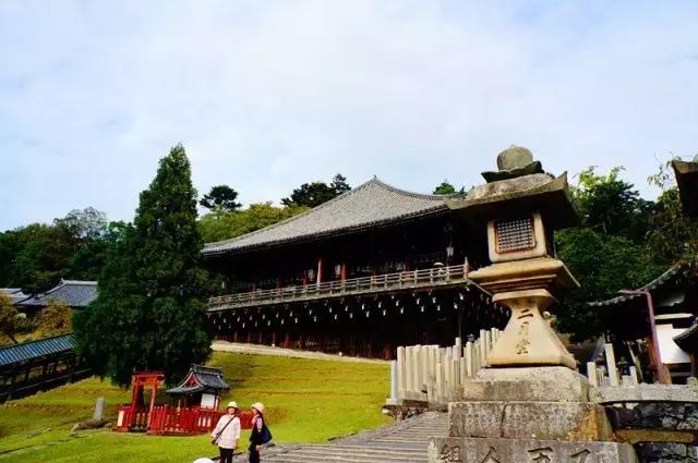 日本奈良看小鹿,日本奈良看小鹿视频