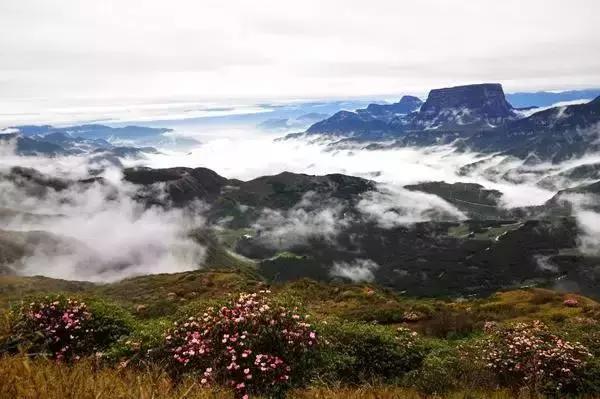 清明只放一天假,清明三天小假期