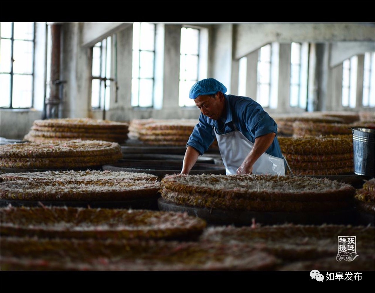 定了!从今天起,如皋白蒲古镇将列入每个人的旅行清单!