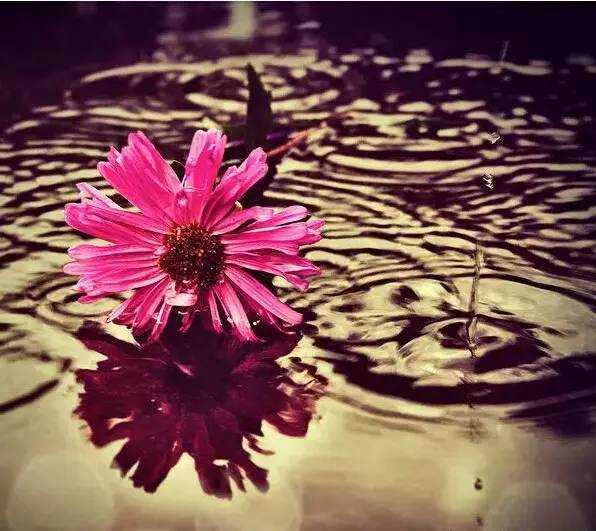 恶搞唐伯虎和杨玉环,杨玉环最搞笑的一集