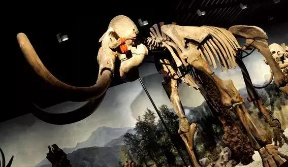 天水直飞南京航班取消了吗,最新天水直飞航班时刻表