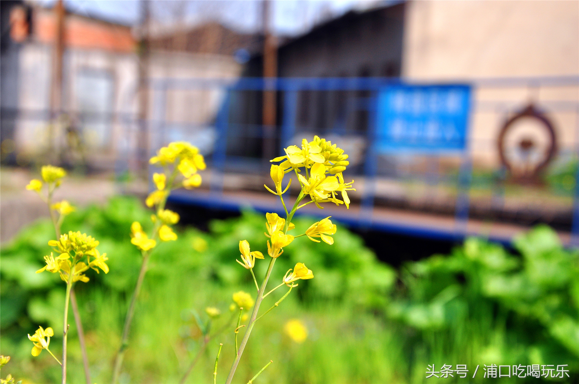 冶山矿业风情小镇,冶山风情小镇最新规划