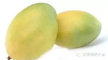 芒果大全100种,芒果这么多你最爱吃的是哪一种