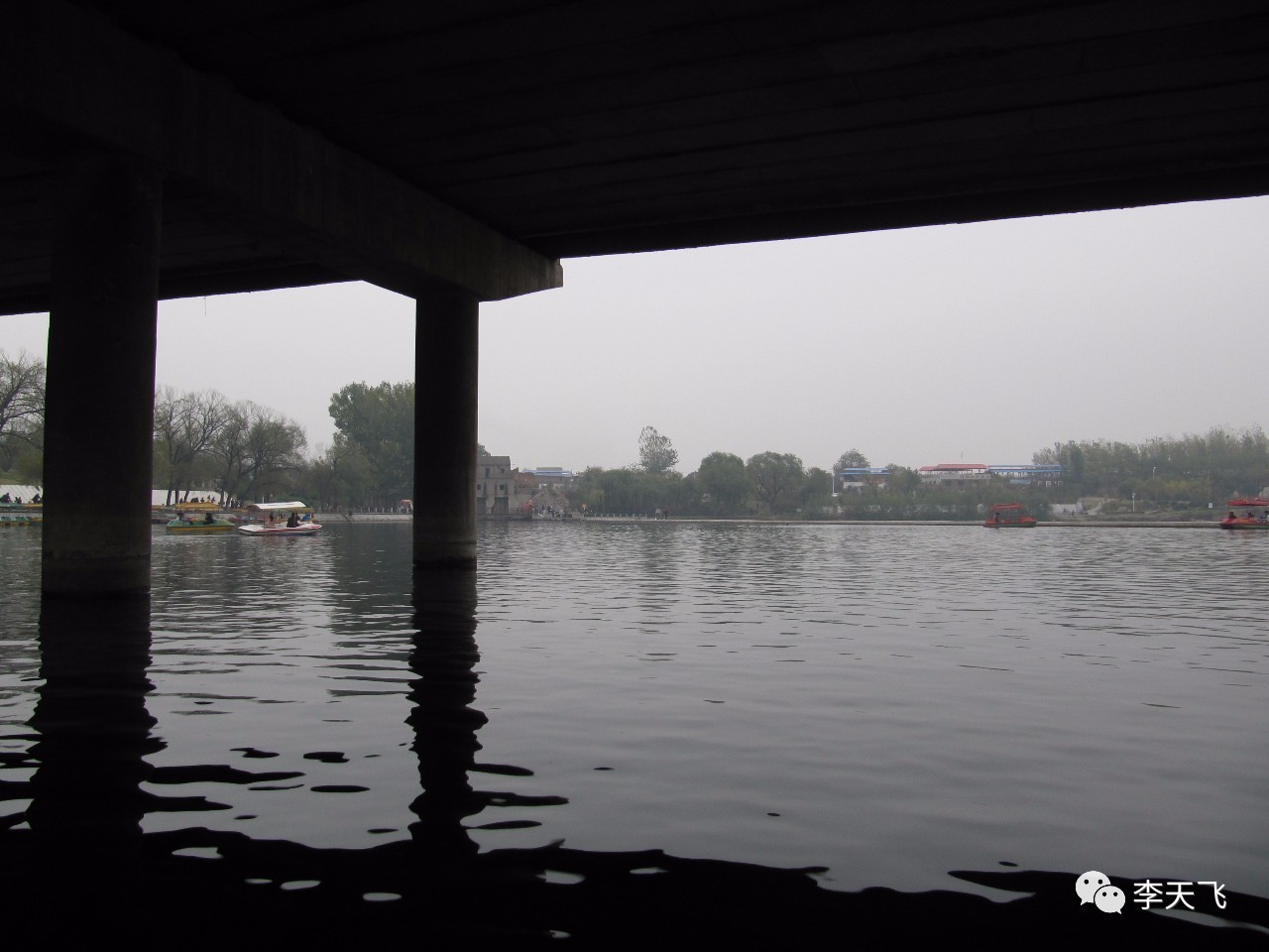 山海经中的东东是真的吗,山海经主要讲了啥