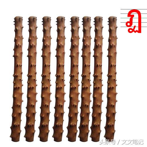 有趣的记忆法和技巧,有趣的记忆方法视频