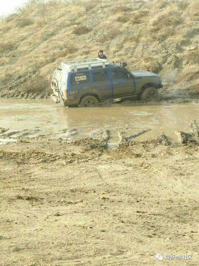 陪伴是最长情的告白——我和切诺基的故事