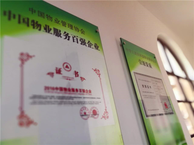 匠心之旅,匠心之旅视频