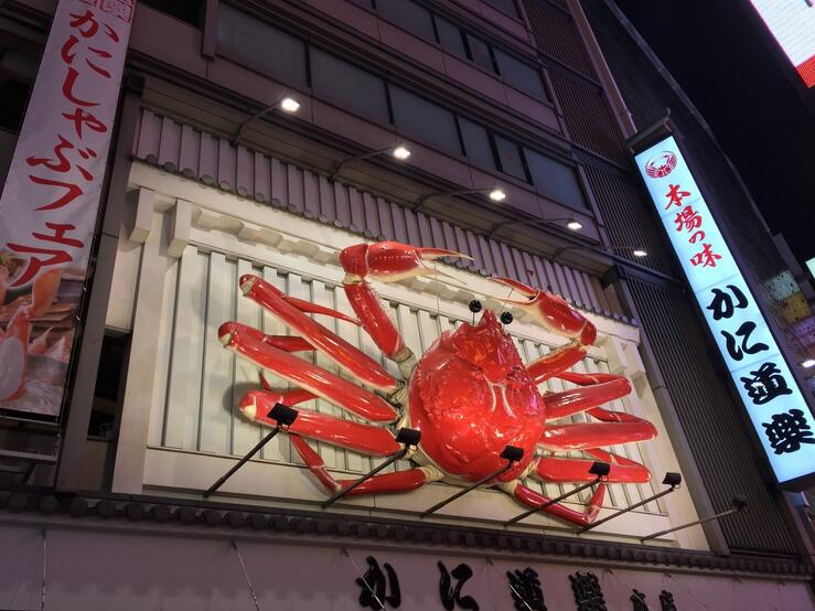 迷失在岛国——东京、京都、大阪7天经典游