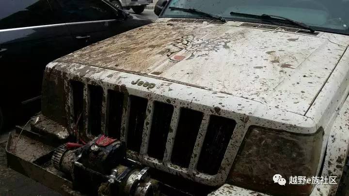 陪伴是最长情的告白——我和切诺基的故事