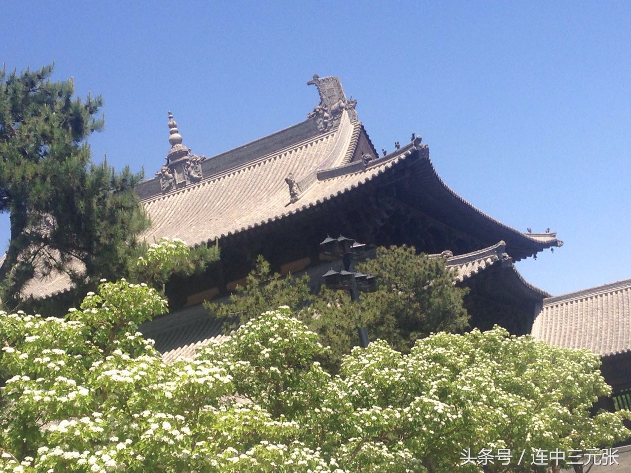 报考专升本的学生,山西省大同大学招专升本吗