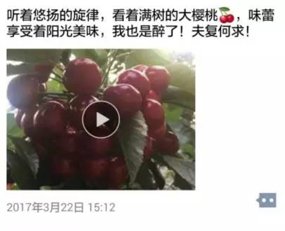 卖樱桃文案高级感朋友圈,朋友圈售卖樱桃文案