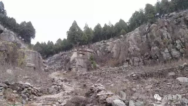 山东沂南秋日花海醉游人,沂南周边看梨花景点