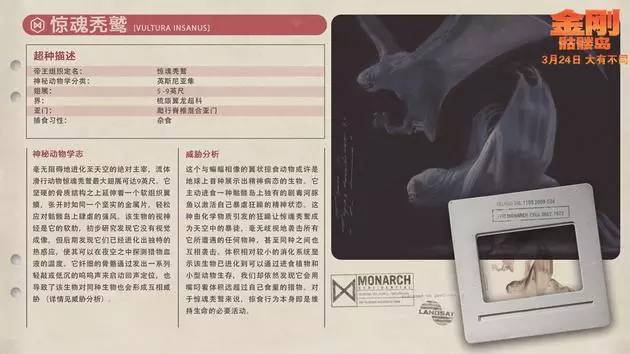 哪里能看到金刚骷髅岛,金刚骷髅岛神秘大揭秘