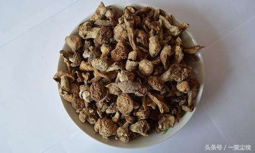 五台山一日游旅行攻略大全,五台山景区一日游最全攻略自由行