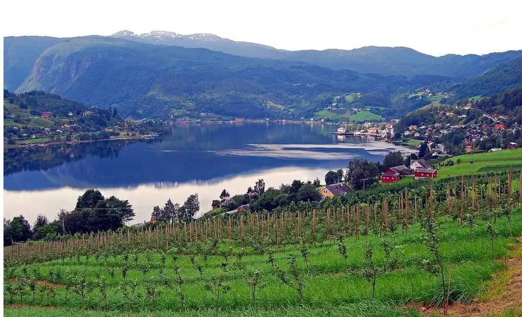 挪威夏日岛旅游攻略,去挪威看峡湾