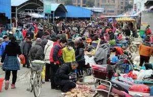 镇江的日常生活,镇江市农村生活