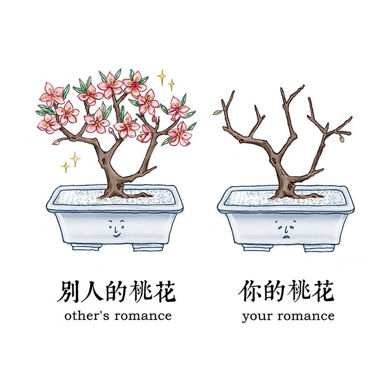 采访papi酱,papi酱专访