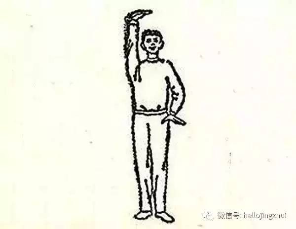 不花1分钱在家练瑜伽,不花一分钱锻炼背部