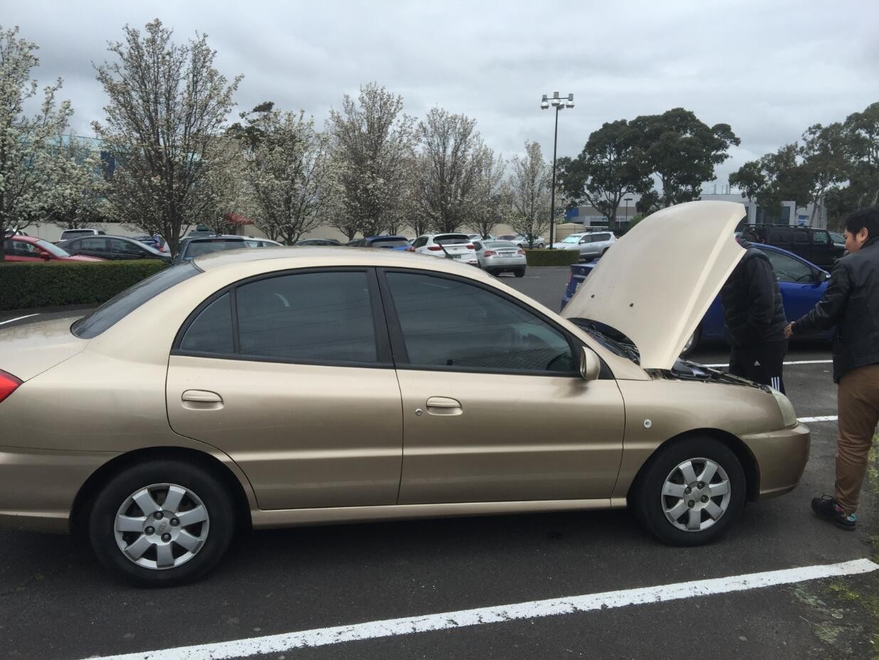 图说：在澳洲的日常（4）｜陈秋平