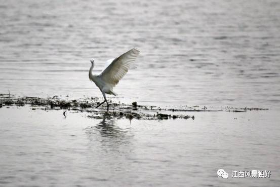 走遍江西100县永修县,走遍江西100县
