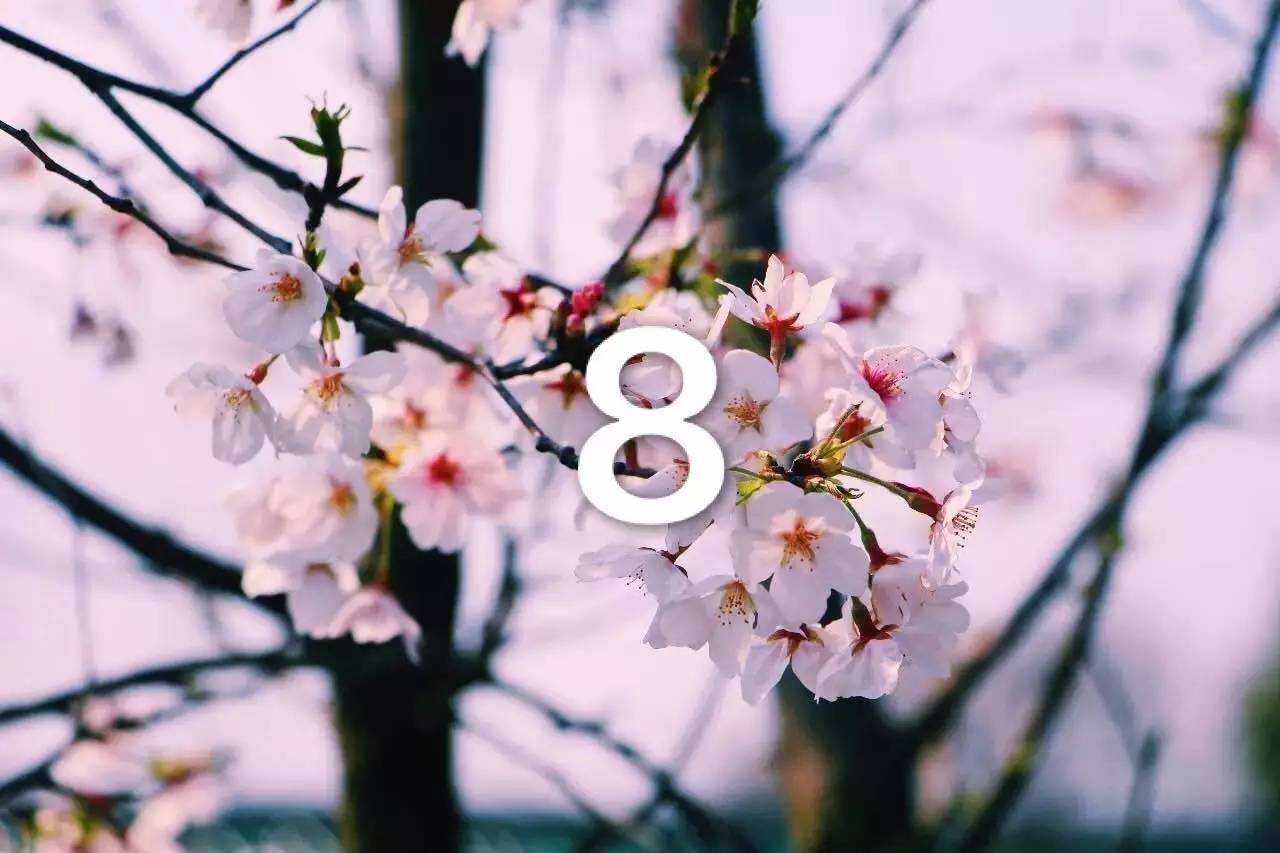 校园开启.avi模式，全因那石楠花开