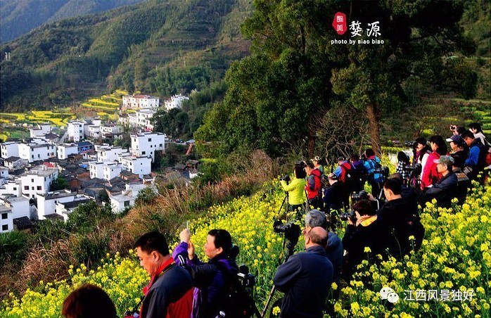 婺源旅游攻略300块钱,自驾游婺源两天旅游攻略及费用