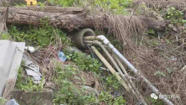 桶装水黑幕为何屡禁不止,桶装水的猫腻是什么