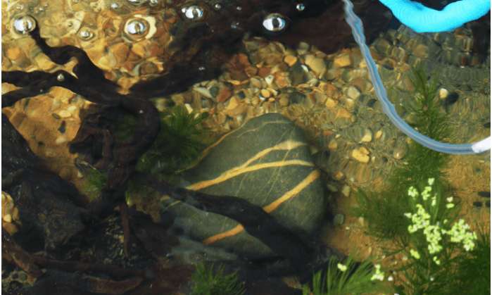 一个三米的鱼池需要多钱,一个观赏鱼池大概多少钱