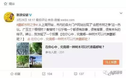 市树将被替换？！合肥现首个“公园体”商业，周末度假有去处了