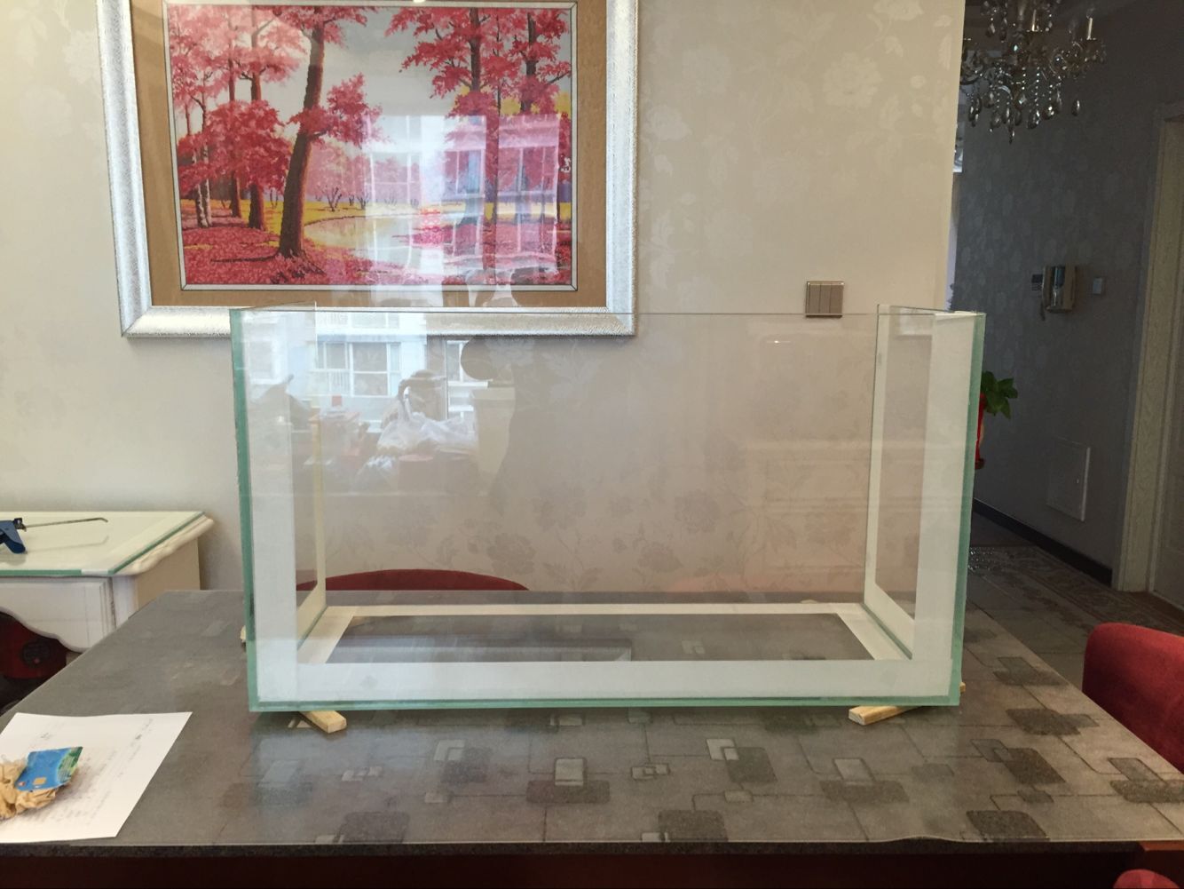 浮云社合集,小鱼缸隔离缸diy