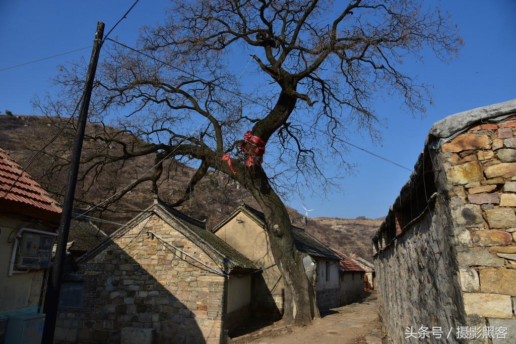 濞佹捣涔冲北妯辨,灞变笢涔冲北妯辨