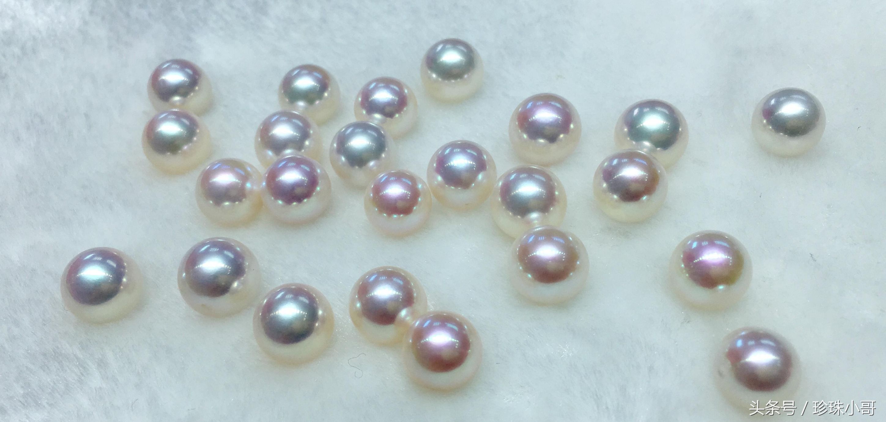 淡水珍珠的价格表,淡水珍珠的副作用
