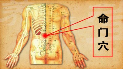 长寿不老穴位图解,不老回春养生功秘诀