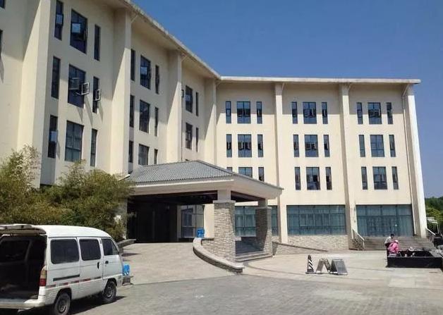 总被骂传销的权健却成为了最用心做足球的那个