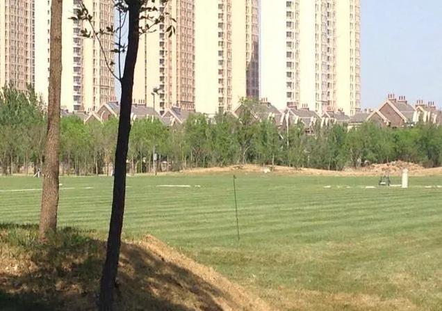 总被骂传销的权健却成为了最用心做足球的那个