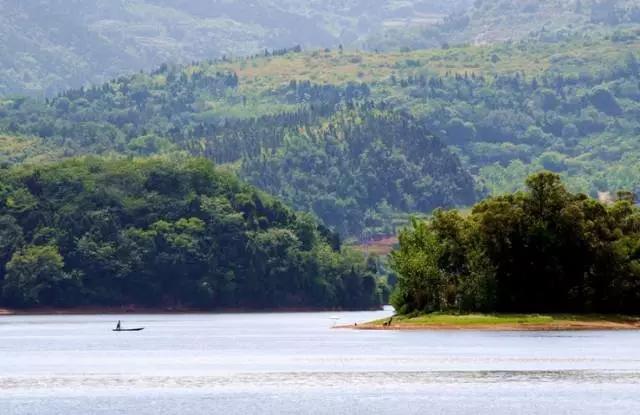 成都附近一小时氧吧,成都周边森林免费氧吧推荐