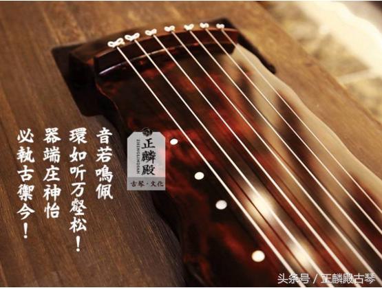 制作古琴的梧桐与泡桐的区别,古琴梧桐木和泡桐和杉木哪个好