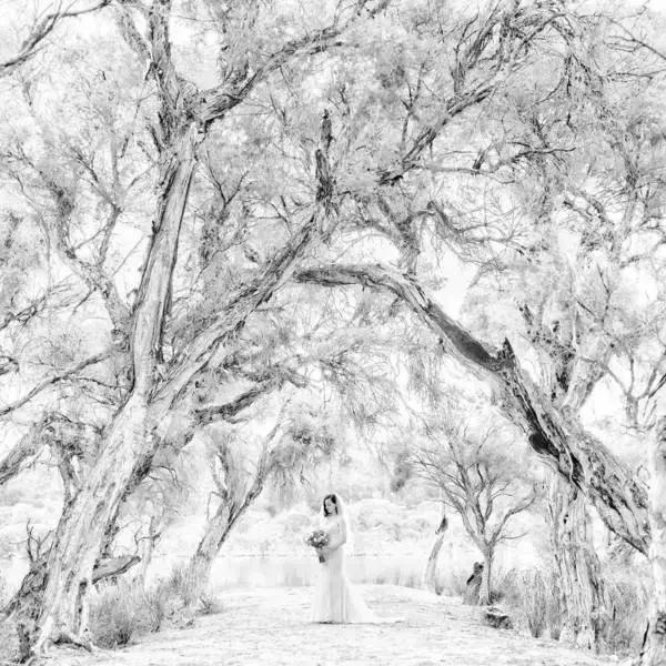 国外创意婚纱摄影作品,激发摄影师灵感的创意婚纱照