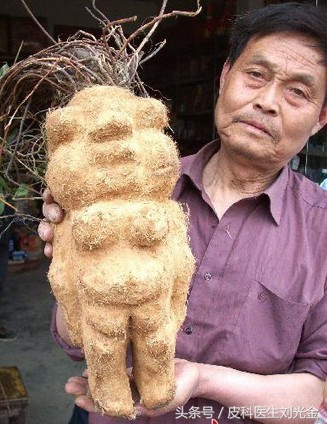 常见的有治愈作用的植物,哪种植物叶子能治皮肤病