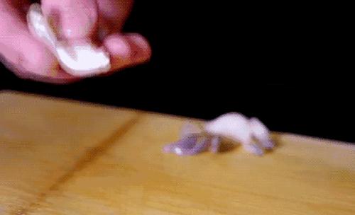 探店顶级日料,探店高端日料上海