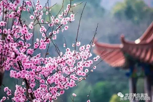 重塑时光之忆,重塑时光之忆动态