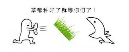 朋友生日快到了不知道送什么好,纠结好朋友生日送什么