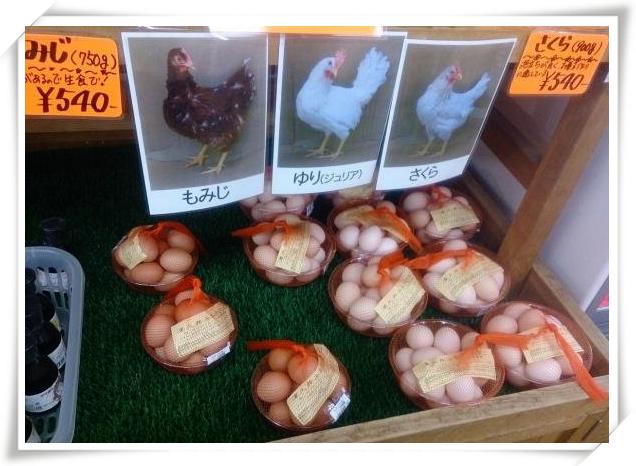 足球比赛假装踢球吓人,足球史上10大假摔