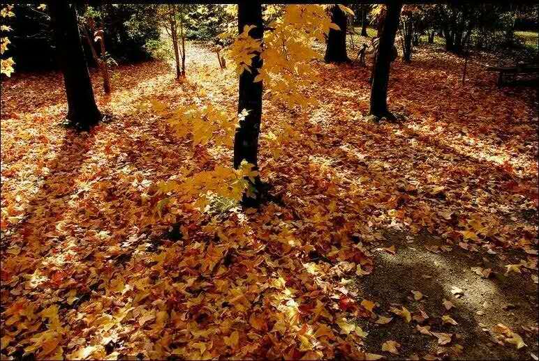 心理咨询概念对象类型的深入理解,心理咨询的概念名词解释