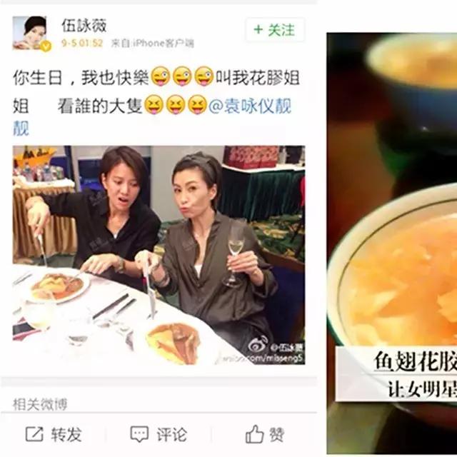 明星推荐的花胶品牌是真的吗,最好的花胶是什么样的