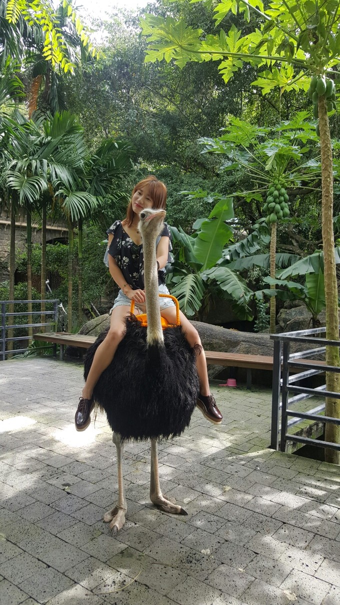 三亚自助游攻略游记,三亚旅游吃货攻略自由行